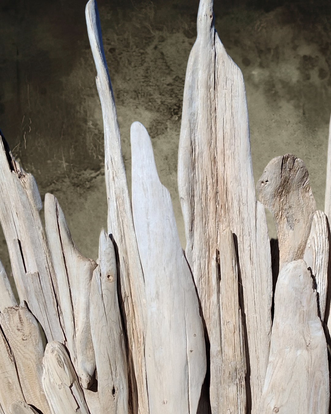 Desert Crown-Natural Driftwood Sculpture