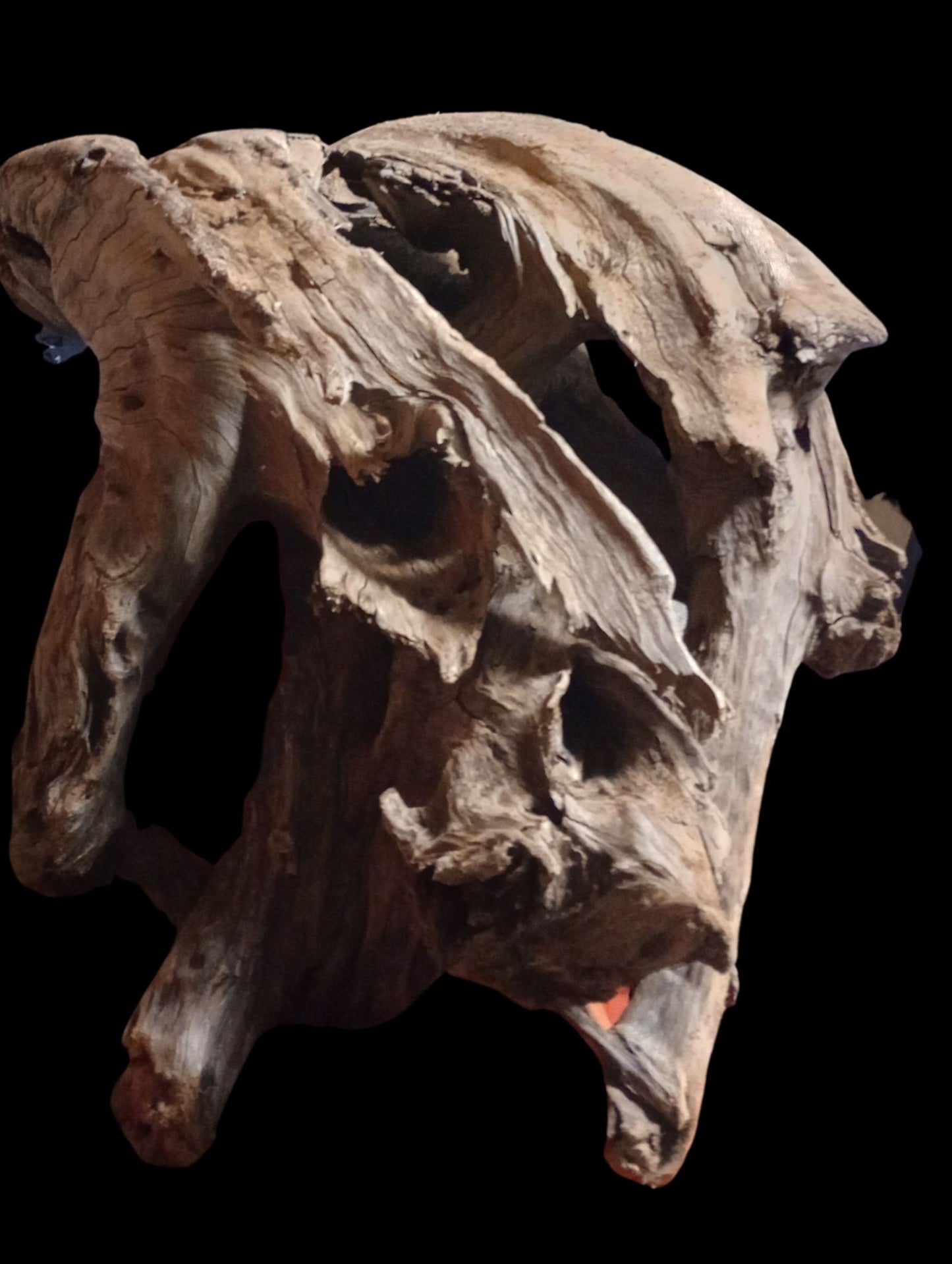 Cedar Driftwood