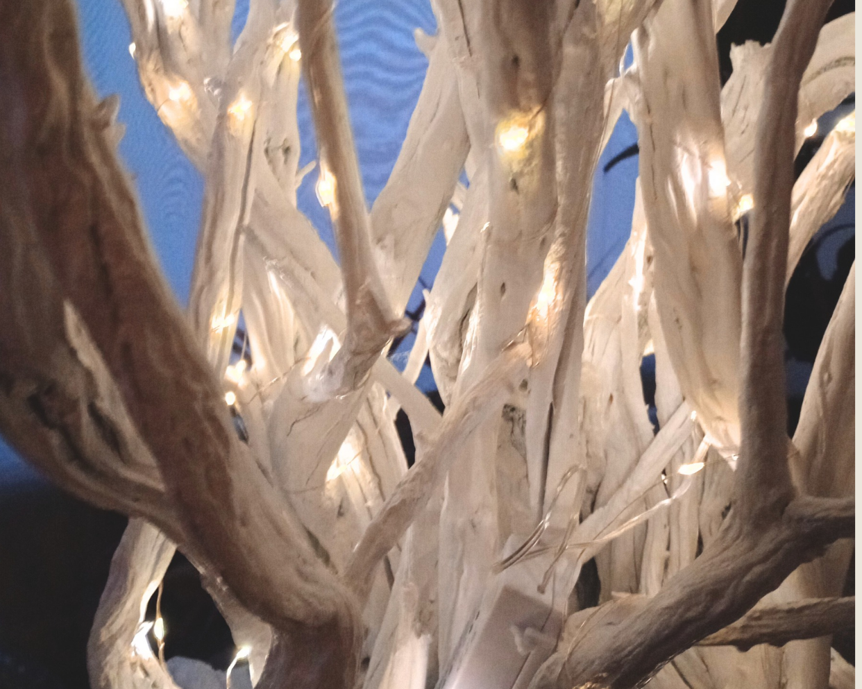 White Spirit Tree