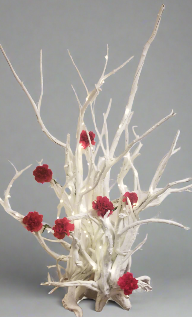 White Spirit Tree